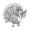 Doodle turkey. Cartoons monochrome coloring page for adult, for children, for web, for print art design elements Royalty Free Stock Photo