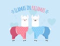 Doodle two llamas