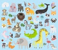 Doodle various animal collection illustration