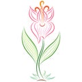 Doodle vector abstract handdrawn gladiolus