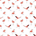Doodle Vector flamingos are active, dancing, fly, sleep, rest, relax, dream, walk. Outline cartoon pink peach animals isolated on
