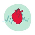 Doodle Vector Illustration Anatomical Realistic Human Heart with electrocardiogram. Cardiology healthcare