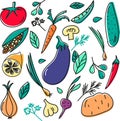 Vegetables doodle drawing collection, lineart and color spot Royalty Free Stock Photo