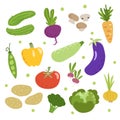 Doodle vegetables set. Cucumbers, beet, mushrooms, carrot, green pea, pepper, zucchini, eggplant, tomato, radish, potatoes, brocco