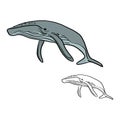 Doodle whale vector illustration sketch doodle hand drawn with b Royalty Free Stock Photo