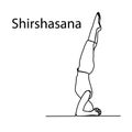 Doodle yoga pose in vector. Drawn yoga pose stand on the head of Shirshasana in vector. Line art