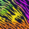 Doodle,Zebra print, animal skin, tiger stripes, abstract pattern, rainbow background, fabric. illustration, poster.