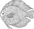 Doodle zentangle fish. Coloring page with animal for adults.