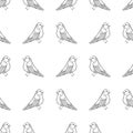 Vector seamless pattern of bullfinch.