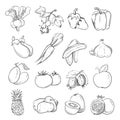 Doodles of vegetables and fruits, hand drawing vegan cooking food icons Royalty Free Stock Photo