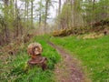 Doon Hill and Fairy Knowe, Aberfoyle Royalty Free Stock Photo