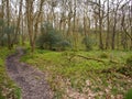 Doon Hill and Fairy Knowe, Aberfoyle