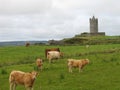 Doonagore Castle