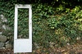 Door against an overgrown wall Royalty Free Stock Photo