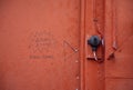 Door Bell on a Red Building