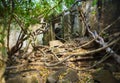 Door in Beng Mealea