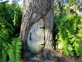 Door carved into oak tree