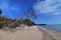 Door county wisconsin sturgeon bay whitefish dunes state park beach in winter frozen sand birch tree erosion in the snow