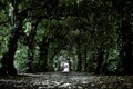 Door in a dark tunnel of trees