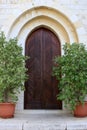 The door of Emmaus Nicopolis abbey Royalty Free Stock Photo