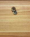 Door eye hole or peephole on wooden door Royalty Free Stock Photo