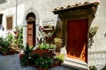 Door with flowers, digital photo picture as a background , taken in Marche region, italy, , europe