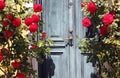 Door in a Garden