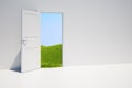 Door with grass field Royalty Free Stock Photo