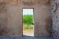 a door with a grate in a stone wall behind which thickets of reeds are visible Royalty Free Stock Photo