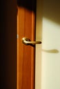 Door with handle