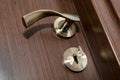 Door handle, door lock and key