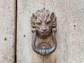 Door handle in the form of a lion Royalty Free Stock Photo