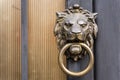Door handle in the form of a lion`s head with a ring in its mouth on a metal door Royalty Free Stock Photo