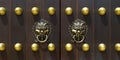Door handle with lion design in buddhist temple Royalty Free Stock Photo