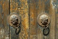 Door handle with lion design Royalty Free Stock Photo