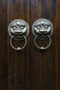 Door handle with lion design Royalty Free Stock Photo