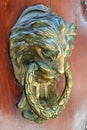 Door handle lion head Royalty Free Stock Photo