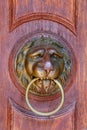 Door handle lion with ring Royalty Free Stock Photo