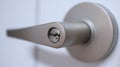 Door handle stainlees steel