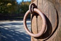 Door handle steel rusty round knocker with gossamer selective focus on brown old wooden entrance door with out of focus Royalty Free Stock Photo