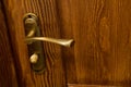 Door handle and wooden door Royalty Free Stock Photo