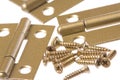 Door Hinges and Screws Macro Isolated Royalty Free Stock Photo