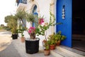 The door of a house in city of Polis in Cyprus is decorated with a bunch of garlic Royalty Free Stock Photo