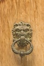 Door, iron lion door knocker