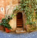 Door and ivy Royalty Free Stock Photo