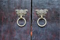 Door and kirin Royalty Free Stock Photo