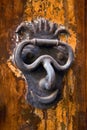 Door-knocker