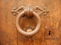 Door knocker