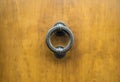 Door Knocker on a door, Siena, Tuscany, Italy Royalty Free Stock Photo