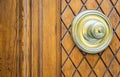 Door Knocker on a door, Siena, Tuscany, Italy Royalty Free Stock Photo